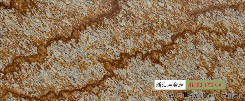 新浪涛金麻